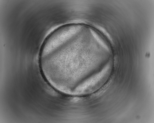 X0000102521412200808221830