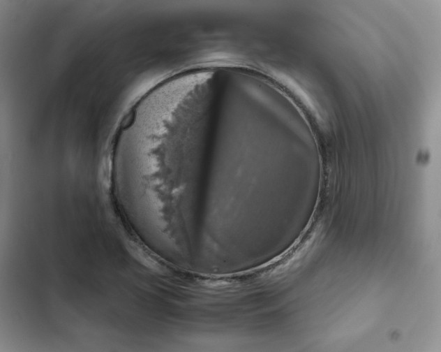 X0000102521413200808221830