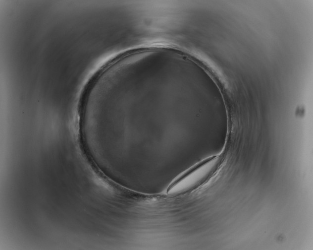 X0000102521414200808221830