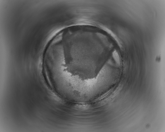 X0000102521415200808221830