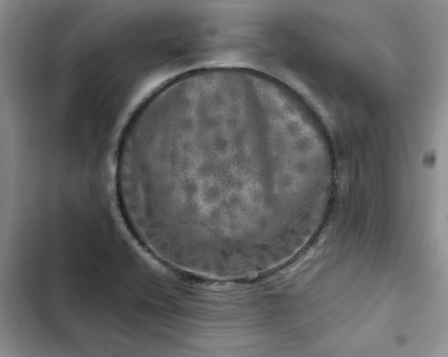 X0000102521416200808221830