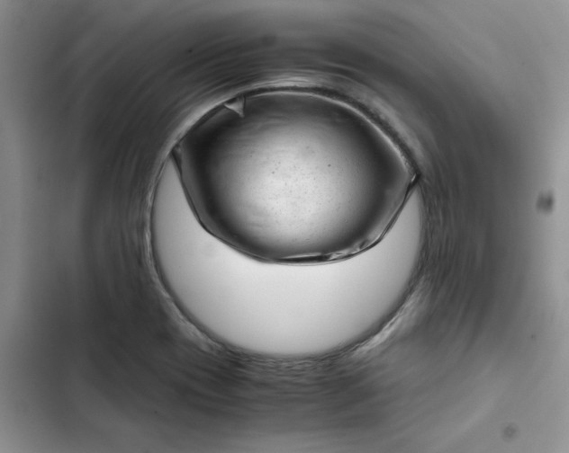 X0000102521417200808221830