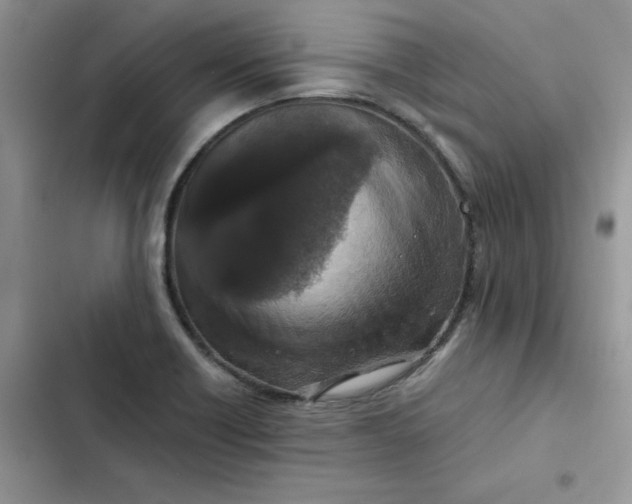 X0000102521418200808221830