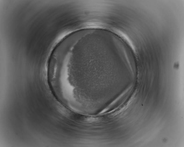 X0000102521419200808221830