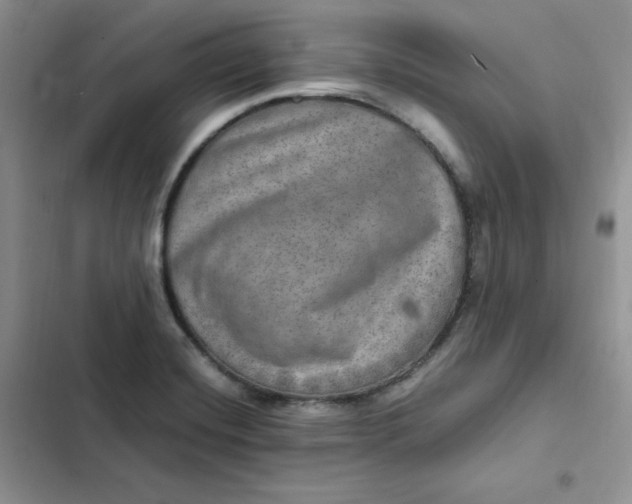 X0000102521420200808221830