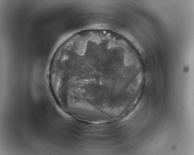 X0000102521421200808221830