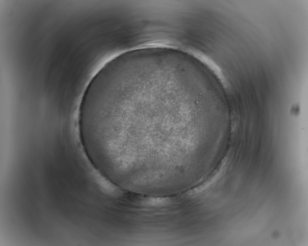 X0000102521423200808221830