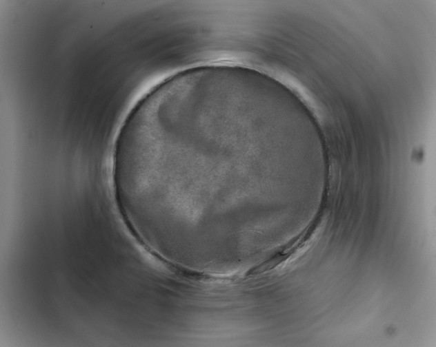 X0000102521424200808221830