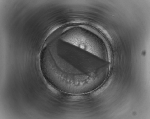 X0000102521425200808221830