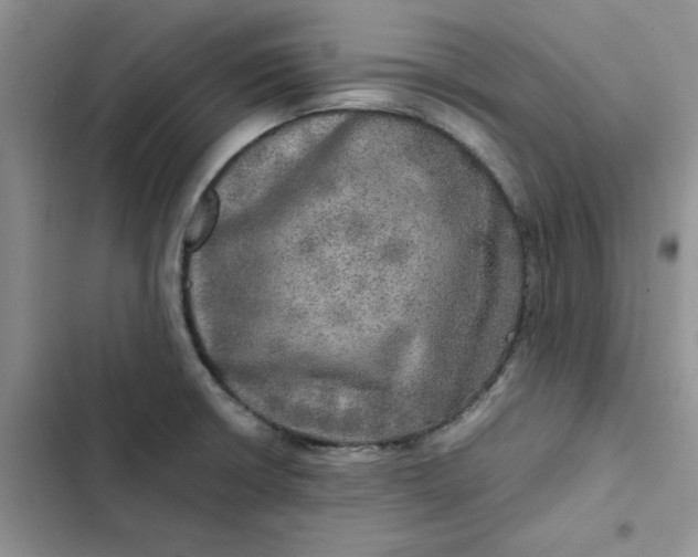 X0000102521426200808221831