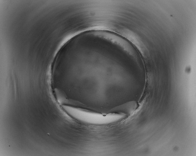 X0000102521428200808221831