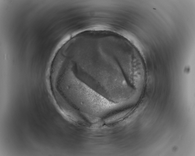 X0000102521429200808221831