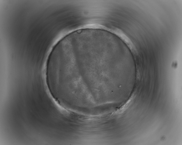 X0000102521430200808221831