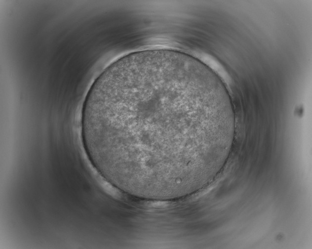 X0000102521431200808221831