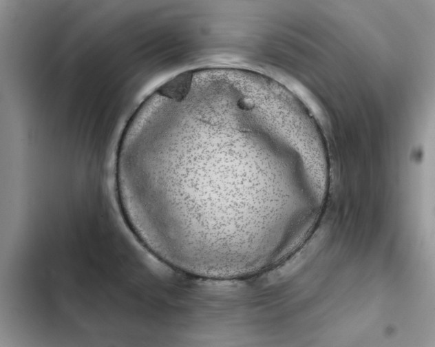 X0000102521432200808221831