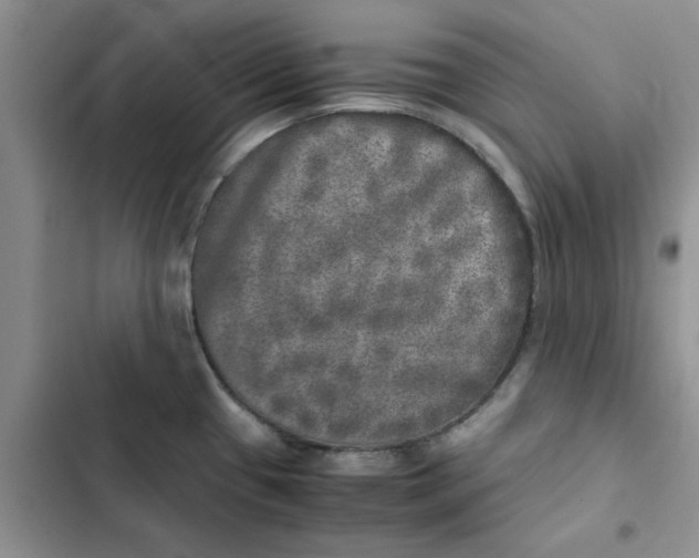 X0000102521433200808221831