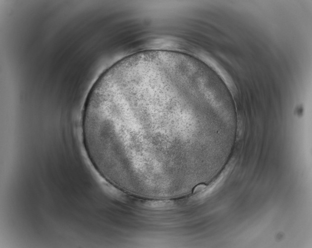 X0000102521434200808221831