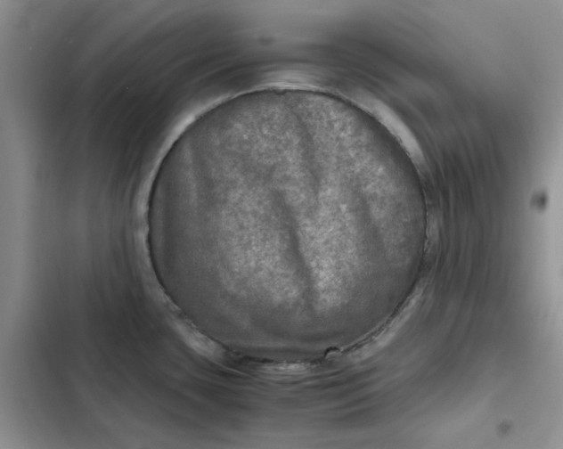 X0000102521435200808221831