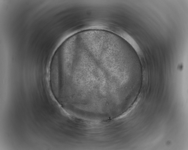 X0000102521436200808221831