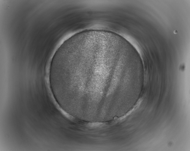 X0000102521437200808221831