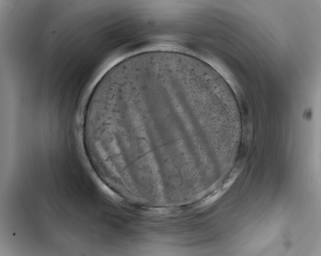 X0000102521438200808221831