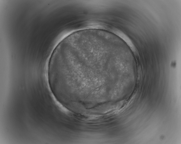 X0000102521439200808221831