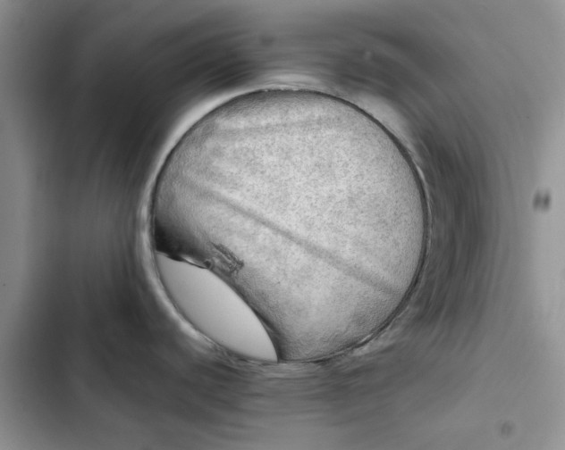 X0000102521440200808221831