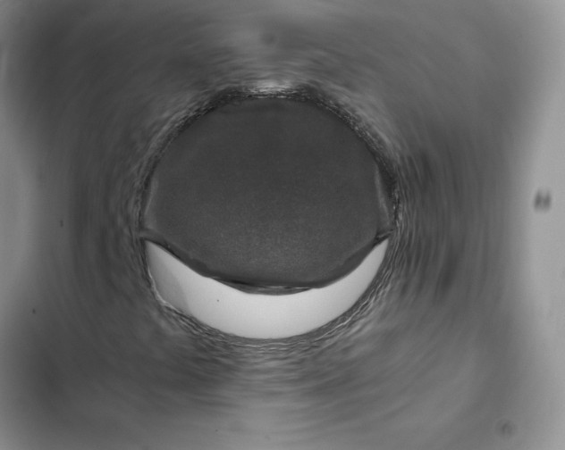 X0000102521441200808221830