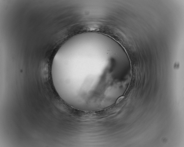 X0000102521442200808221830