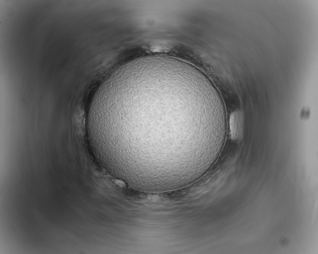 X0000102521443200808221830