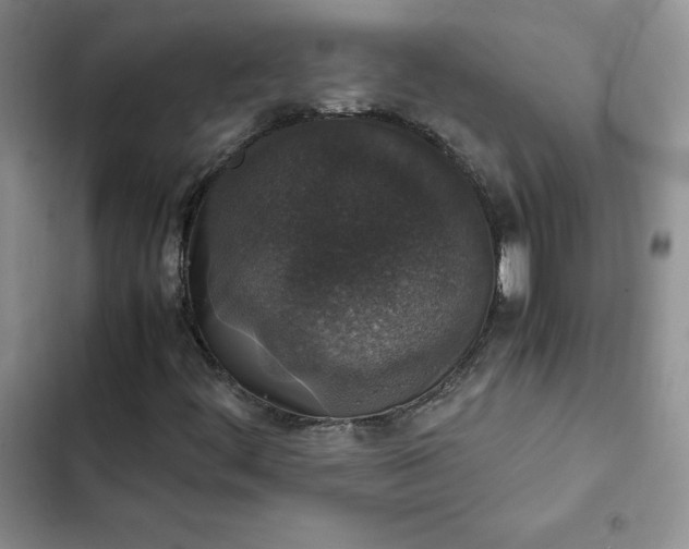 X0000102521444200808221830