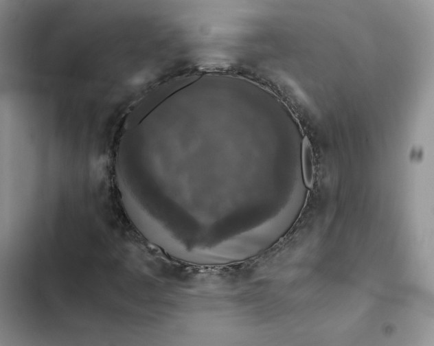 X0000102521445200808221830