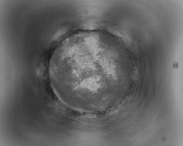 X0000102521446200808221830