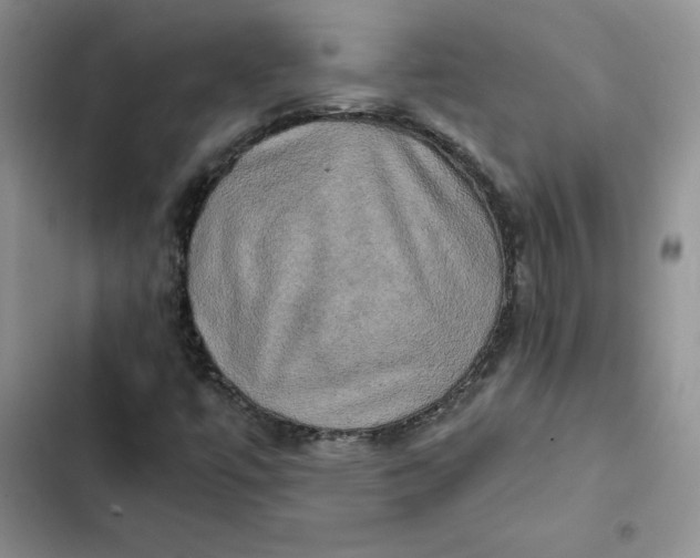 X0000102521447200808221830