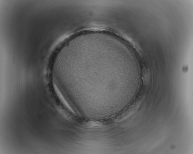 X0000102521448200808221830