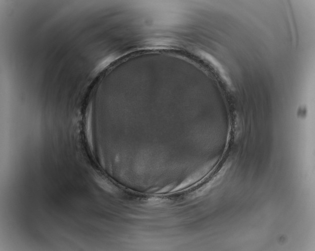 X0000102521449200808221830