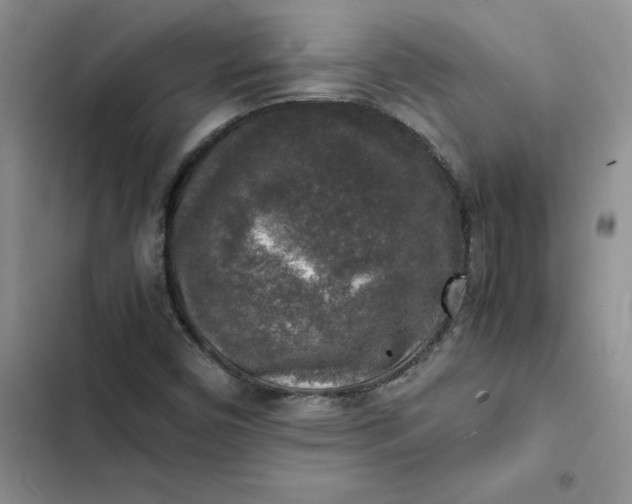 X0000102521450200808221830