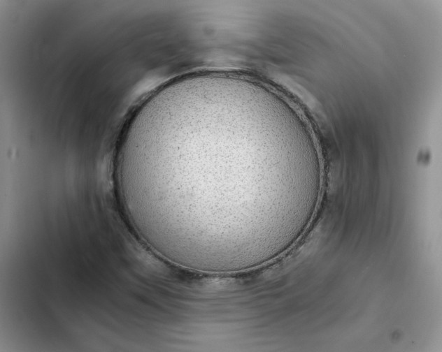 X0000102521451200808221830