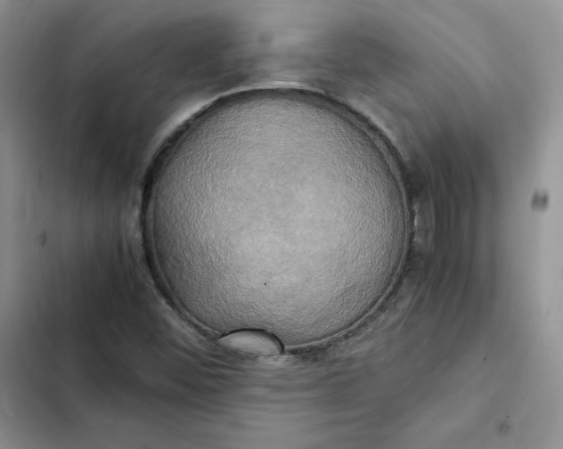 X0000102521452200808221830