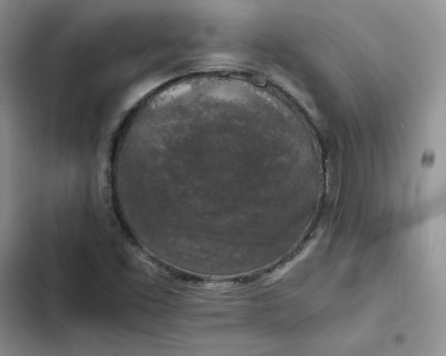 X0000102521453200808221830