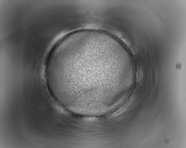 X0000102521454200808221830