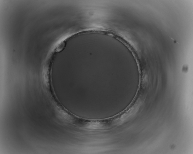 X0000102521455200808221830