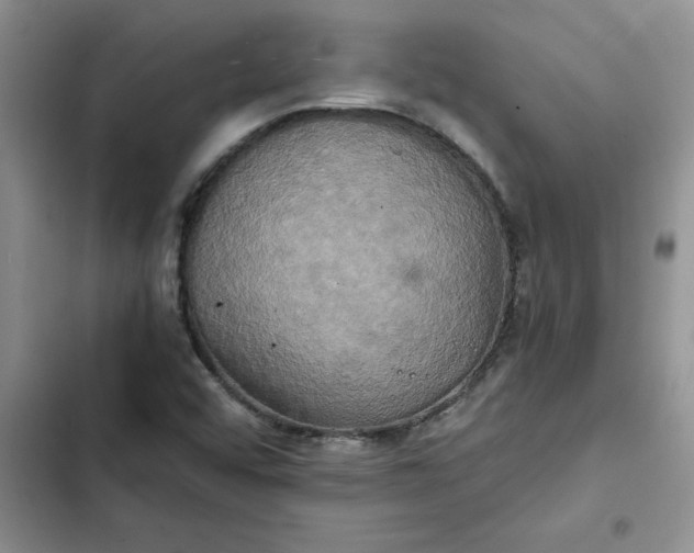 X0000102521456200808221830