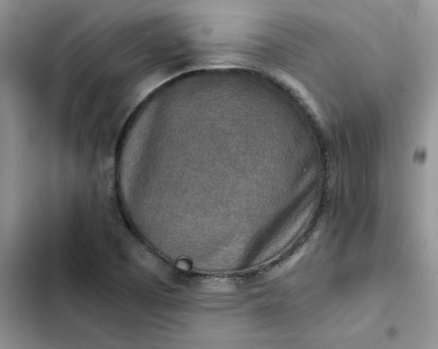 X0000102521457200808221830