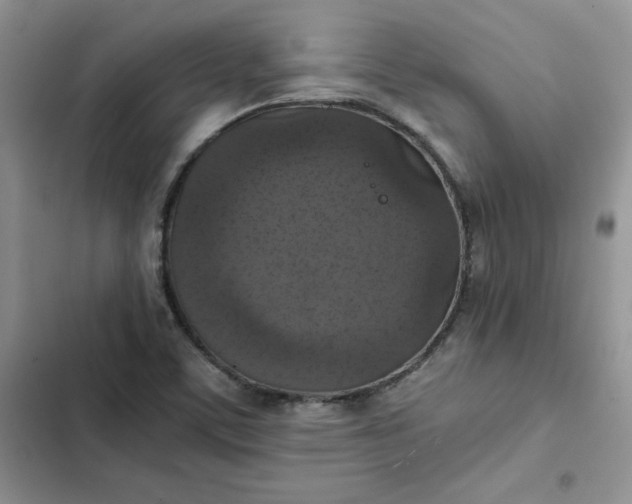 X0000102521459200808221830