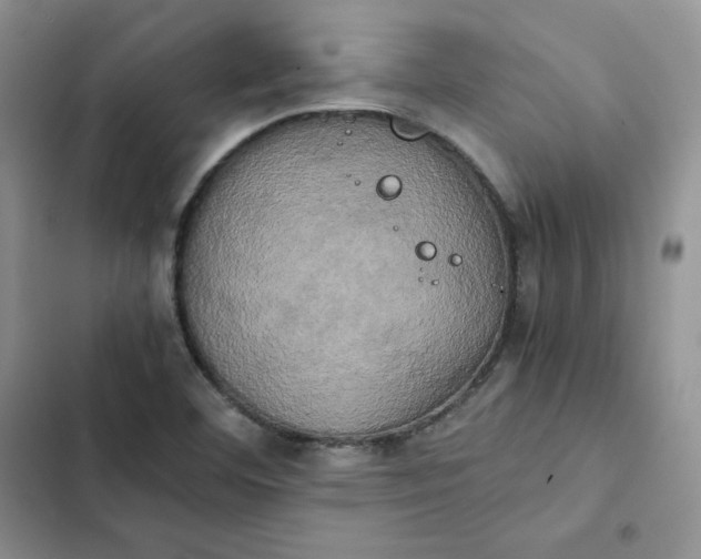 X0000102521460200808221830