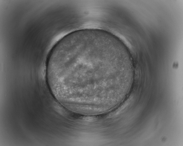 X0000102521461200808221830