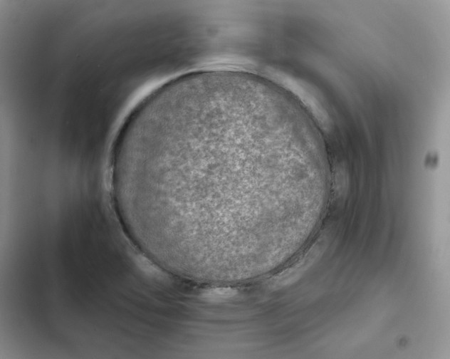 X0000102521462200808221830