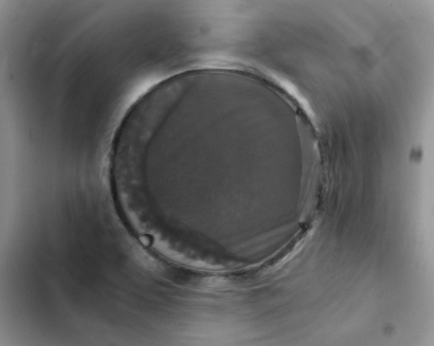 X0000102521463200808221830