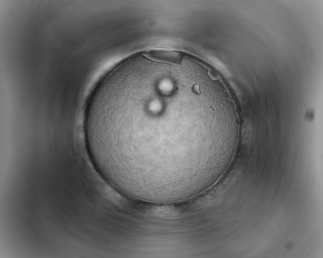 X0000102521464200808221830